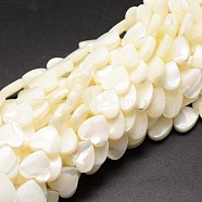 Natural Trochid Shell/Trochus Shell Beads Strands, Heart, Creamy White, 12x12x4mm, Hole: 1mm, about 35pcs/strand, 15.75 inch(SSHEL-K012-01-A)