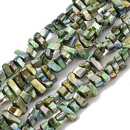 Natural Freshwater Shell Beads Strands, Dyed, AB Color, Nugget, Dark Olive Green, 7~17.5x5~5.5x6~8.5mm, Hole: 1.2mm, about 72~73pcs/strand, 15.35''(39cm)(BSHE-H018-07C)