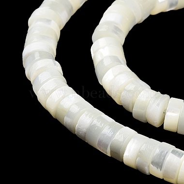 Natural Trochus Shell Beads Strands(BSHE-E030-09A-01)-4