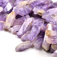 Irregular Strip Natural Amethyst Graduated Beads Strands, 23~62x10~12x4~6mm, Hole: 2mm, about 38pcs/strand, 15.3 inch(G-P064-06)