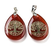 Natural Carnelian(Dyed & Heated) Teardrop Pendants, Golden Tree of Life Charms with Rack Plating Platinum Tone Brass Snap on Bails, Platinum, Cadmium Free & Lead Free, 37x23x7mm, Hole: 5x4mm(G-Q175-01B)