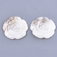 Carved Freshwater Shell Cabochons, Flower, Ivory, 70~71x70~71x5mm(SHEL-T012-55)