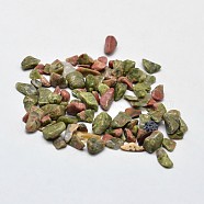 Natural Unakite Chip Beads, No Hole/Undrilled, 2~8x2~4mm, about 8500pcs/500g(G-O103-14)