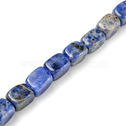 Natural Sodalite Beads Strands, Cuboid, 8.5~11x7.5~9x7.5~9mm, Hole: 1.2mm, about 20pcs/strand, 7.72~8.74 inch(19.6~22.2cm)(G-F743-02I)