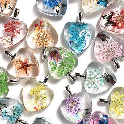 Transparent Glass Pendants, with Dried Flower inside, Heart, Mixed Color, 27x20.5x10.5mm, Hole: 4.5x2.5mm(GLAA-M048-04)