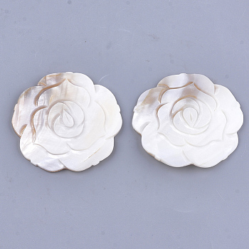 Carved Freshwater Shell Cabochons, Flower, Ivory, 70~71x70~71x5mm