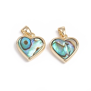 Natural Abalone Shell/Paua Shell Charms, with Golden Plated Brass Findings, Long-Lasting Plated, Heart, 12x12x3mm, Hole: 3x2.5mm(X-KK-L196-14B)