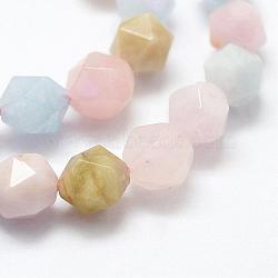 Natural Morganite Beads Strands, Faceted, Round, 6mm, Hole: 1mm; about 64pcs/strand, 15.55inches(39.5cm)(G-E365-10-6mm)