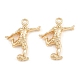 Alloy Pendants(PALLOY-T096-07G)-1