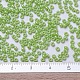 ミユキラウンドロカイユビーズ(X-SEED-G007-RR0479)-4