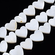 Natural Freshwater Shell Beads Strands, Heart, Creamy White, 12~13x12~14x3mm, Hole: 0.8mm, about 30pcs/strand, 14.96 inch~15.35 inch(38cm)(SHEL-N027-21)