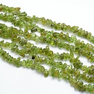 Natural Peridot Beads Strands, Chips, 3~5x3~5mm, Hole: 1mm, about 31.5 inch(X-G-O049-A-07)
