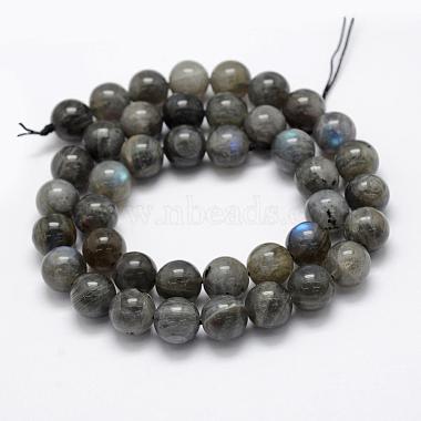 Natural Labradorite Beads Strands(G-P322-31-10mm)-2