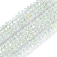 Natural Prehnite Beads Strands, Faceted, Bicone, 2.8~3.2x1.5~2.2mm, Hole: 0.7mm, about 226pcs/strand, 15.35 inch(39cm)(G-E560-R01-01)