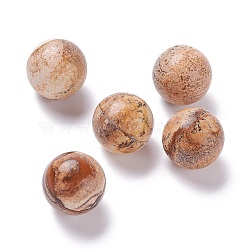 Natural Picture Jasper Beads, No Hole/Undrilled, for Wire Wrapped Pendant Making, Round, 20mm(G-D456-14)