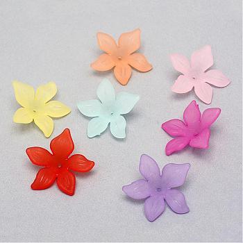 Transparent Acrylic Beads, Frosted, Flower, Mixed Color, 29x27x7mm, Hole: 1.5mm, about 568pcs/500g
