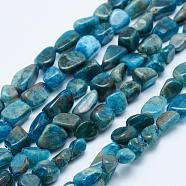 Natural Apatite Beads Strands, Tumbled Stone, Nuggets, 5~12x4~9mm, Hole: 1mm, 15.7 inch~15.9 inch(40~40.5cm)(G-K203-13)