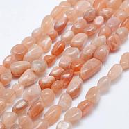 Natural Sunstone Beads Strands, Tumbled Stone, Nuggets, 5x4mm, Hole: 1mm, 15.7 inch~15.9 inch(40~40.5cm)(G-K203-11A)