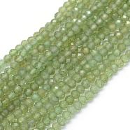 Natural Apatite Beads Strands, Faceted, Round, 3~3.5mm, Hole: 0.5mm, about 137pcs/strand, 15.35 inch(39cm)(G-E411-27A-3mm)