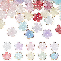 200Pcs 10 Colors Resin Bead Caps, Flower with Phnom Penh, Mixed Color, 18x6mm, Hole: 1.6mm, 20pcs/color(FIND-DR0001-40)