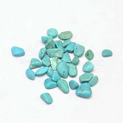 Dyed & Heated Natural Magnesite Chip Beads, No Hole/Undrilled, Dark Turquoise, 3~9x1~4mm(G-L453-01)