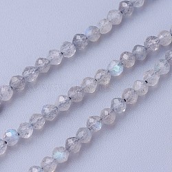 Natural Labradorite Beads Strands, Faceted, Round, 3~3.5mm, Hole: 0.5mm, about 115~130pcs/strand, 14.5~16.1 inch(37~41cm)(G-F619-15-3mm)