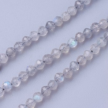 Natural Labradorite Beads Strands, Faceted, Round, 3~3.5mm, Hole: 0.5mm, about 115~130pcs/strand, 14.5~16.1 inch(37~41cm)