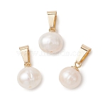 Natural Cultured Freshwater Pearl Potato Charms, with Stainless Steel Snap on Bails, Seashell Color, Golden, 12.5x9~10x8~9mm, Hole: 7x3.5mm(PALLOY-JF04890-01)