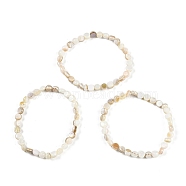 Flat Round Natural Freshwater Shell Beaded Stretch Bracelets for Women, Floral White, Inner Diameter: 2~2-1/8 inch(4.95~5.45cm)(BSHE-H109-18)