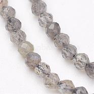 Natural Labradorite Bead Strands, Faceted, Round, 3mm, Hole: 0.5mm, about 149pcs/strand, 15.5 inch(G-P213-38-3mm)