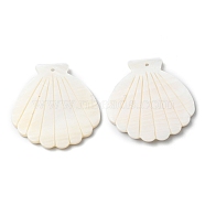 Natural Freshwater Shell Big Pendants, Shell Charm, Seashell Color, 54.5x52x3.5mm, Hole: 2mm(SHEL-K006-05)