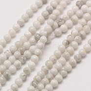 Natural Howlite Round Bead Strands, 3mm, Hole: 0.8mm, about 126pcs/strand, 16 inch(X-G-A130-3mm-L02)