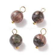 Natural Glaucophane Charms, with Golden Tone Brass Loops, Round, 13x8.5mm, Hole: 2mm(PALLOY-JF01671)