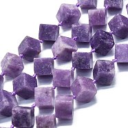 Natural Lepidolite/Purple Mica Stone Beads Strands, Rhombus, 14~16x15~17x15~17mm, Hole: 1mm, about 25pcs/strand, 16.73''(42.5cm)(G-K245-G02-03)