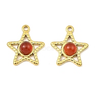 Natural Red Agate Pendants, Ion Plating(IP) 316 Stainless Steel Star Charms, Real 24K Gold Plated, 20x17.5x5mm, Hole: 1.8mm(STAS-K258-24G-09)