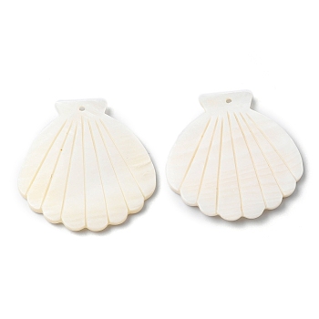 Natural Freshwater Shell Big Pendants, Shell Charm, Seashell Color, 54.5x52x3.5mm, Hole: 2mm