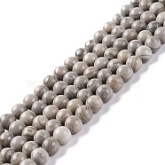 Natural Silver Line Jasper Beads Strands, Round, 6~6.5mm, Hole: 1mm, about 61~63pcs/strand, 15.16~15.75 inch(38.5~40cm)(G-P451-03B-A)