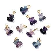 Natural Fluorite Carved Pendants, with Golden Plated Brass Findings, Cherry, 21x17x7~9mm, Hole: 3.7mm(G-J387-96)