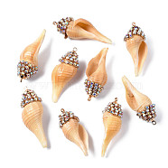 Natural Sea Shell Pendants, with Rhinestone Cup Chain and Golden Brass Loops, Navajo White, 35~41x13~16x13~15mm, Hole: 1.6mm(SSHEL-S258-97)