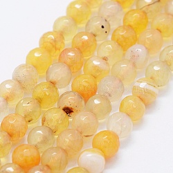 Faceted Natural Agate Beads Strands, Dyed & Heated, Round, Gold, 6mm, Hole: 0.5mm, about 63pcs/strand, 14.4 inch(36.5cm)(G-F561-6mm-D06)