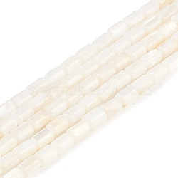 Natural Freshwater Shell Beads Strands, Column, Seashell Color, 4.5~5x3~3.5mm, Hole: 0.6mm, about 77~79pcs/strand, 14.76~14.96''(37.5~38cm)(BSHE-H109-17A)