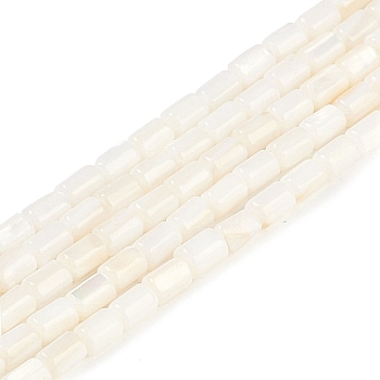 Natural Freshwater Shell Beads Strands, Column, Seashell Color, 4.5~5x3~3.5mm, Hole: 0.6mm, about 77~79pcs/strand, 14.76~14.96''(37.5~38cm)