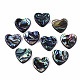 Natural Abalone Shell/Paua Shell Beads(SSHEL-T014-16C)-1