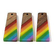 Pride Rainbow Theme Resin & Walnut Wood Pendants, Trapezoid, Colorful, 38x15x3.5mm, Hole: 2mm(WOOD-K012-10B)