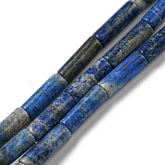 Natural Lapis Lazuli Beads Strands, Column, 10~14x4.3~4.6mm, Hole: 0.9mm, about 28pcs/strand, 14.96~15.20 inch(38~38.6cm)(G-C084-B01-01)