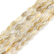 Natural Freshwater Shell Beads Strands, Rice, Goldenrod, 7.5~8x4mm, Hole: 0.5mm, about 51pcs/strand, 15.55 inch(39.5cm)(BSHE-G036-03)