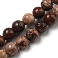 Natural Gemstone Beads Strands, Round, 6mm, Hole: 0.7mm, about 65pcs/strand, 15.75''(40cm)(G-R494-A22-02)