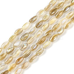 Natural Freshwater Shell Beads Strands, Rice, Goldenrod, 7.5~8x4mm, Hole: 0.5mm, about 51pcs/strand, 15.55 inch(39.5cm)(BSHE-G036-03)