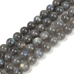 Natural Labradorite Beads Strands, Grade AA, Round, Gray, 8mm, Hole: 1mm, about 48pcs/strand, 15.75 inch(G-G448-8mm-04A)