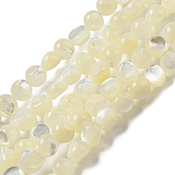 Natural White Shelll Beads Strands, Flat Round, Pale Goldenrod, 5.5~6x4.5~5mm, Hole: 0.6mm, about 73~74pcs/strand, 15.75''(40cm)(SSHEL-H072-03)